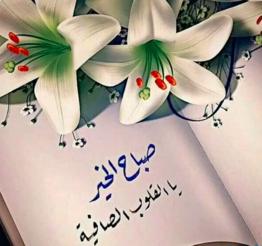 رسائل صباحية