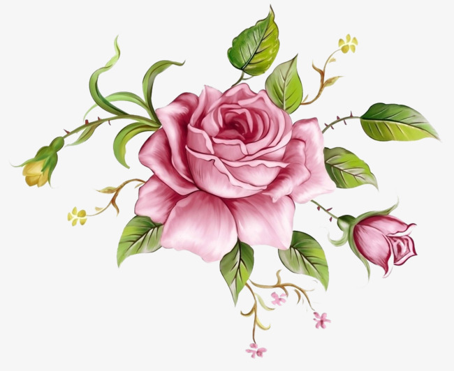 ورود مرسومة ملونه 5