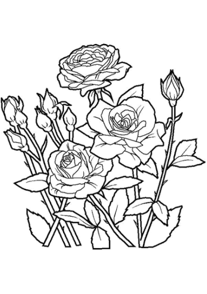 رسومات ورود مفرغة 5