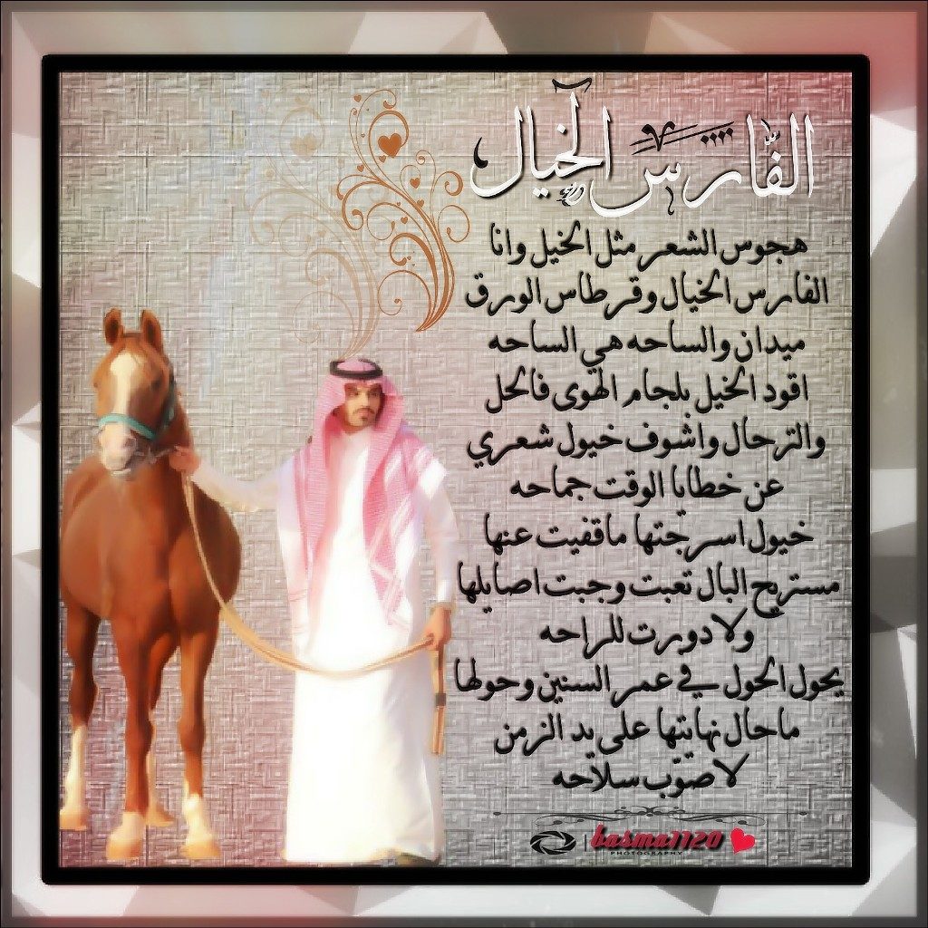 كلام عن الفارس