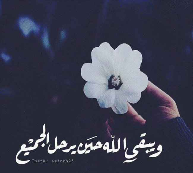 بايو انستا سوفت