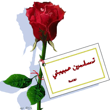  شكرا حبيبتي تويتر