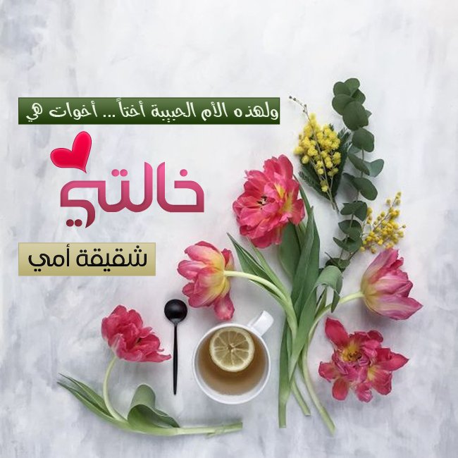 كلام جميل عن شكرا خالتي