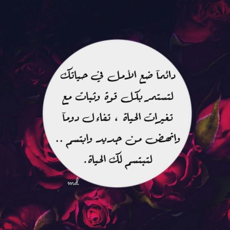 بايو انستا سوفت- بايو انستا مزخرف