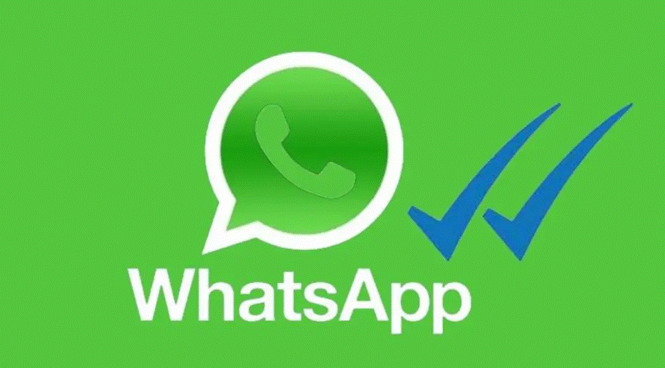 فتح واتساب ويب على الهاتف - كيفية استخدام واتساب ويب