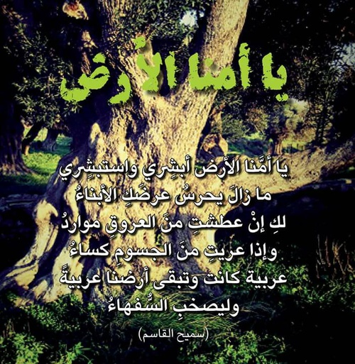 رمزيات عن الوطن 5