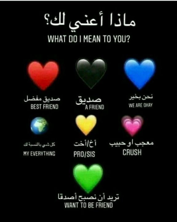 بايو انستا باد