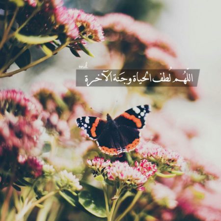 بايو انستا باد