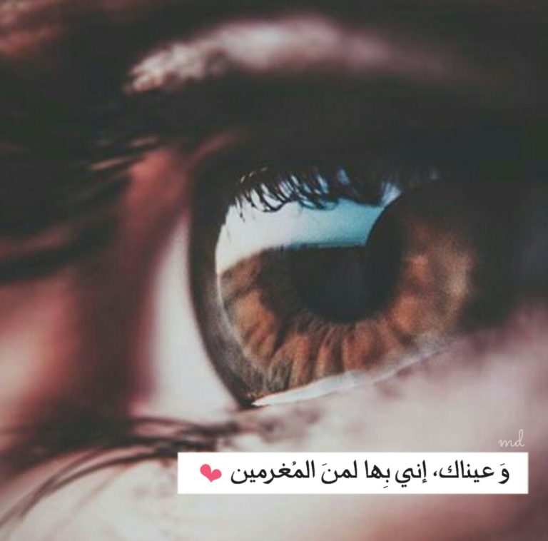 بايو انستقرام فخم