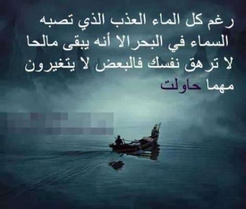 بايو للانستقرام عن الثقة