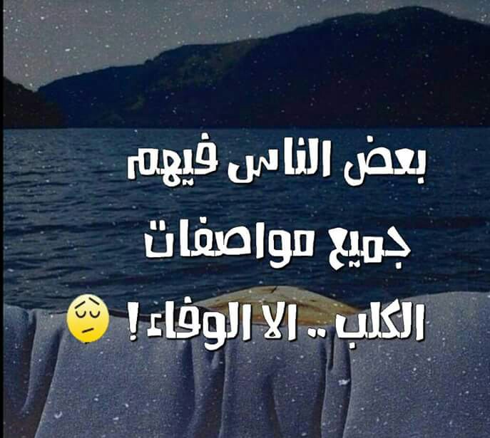 بايو انستقرام مزخرف مضحك