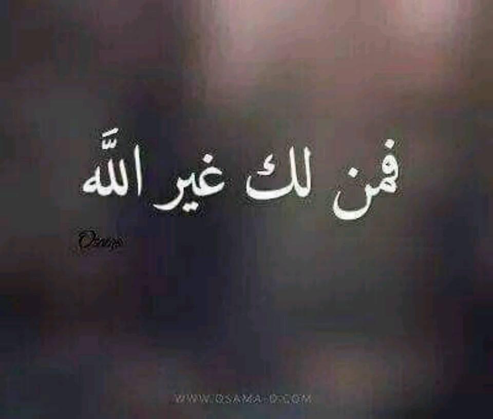 بايو انستقرام حكم
