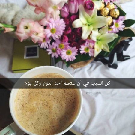 بايو انستا تلي