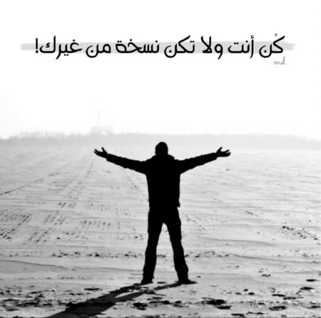 بايو انستقرام حكم