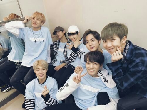 بايو سوفت كيبوب bts