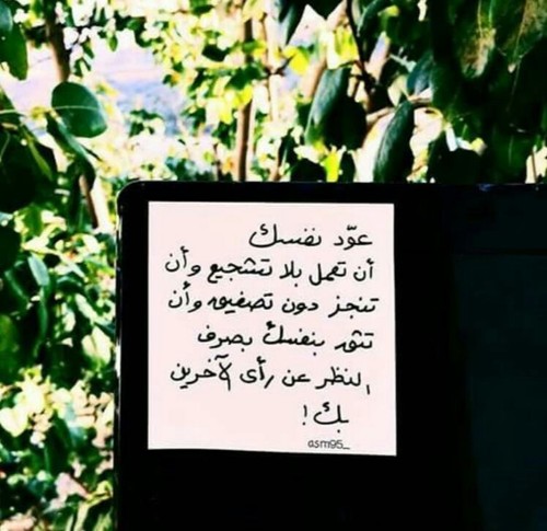بايو للانستقرام عن الثقة