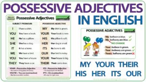 شرح possessive adjectives