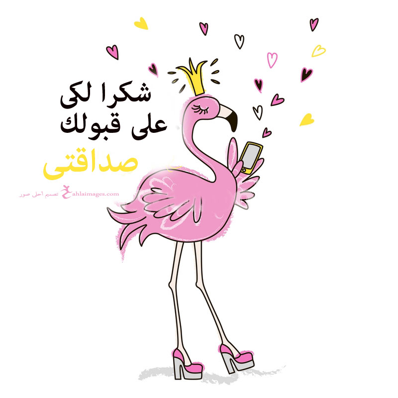 صور شكرا على قبول الصداقة ٤