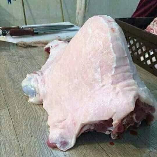 فوائد سنام الجمل للرجال