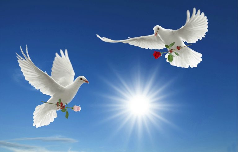 موضوع عن السلام