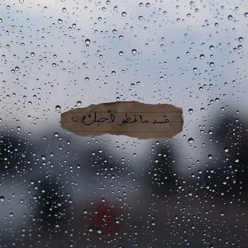 عبارات عن الحب تحت المطر