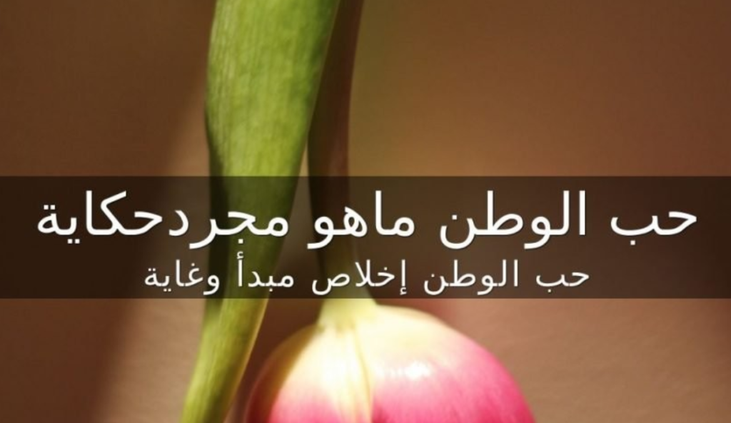 عبارات عن حب الوطن