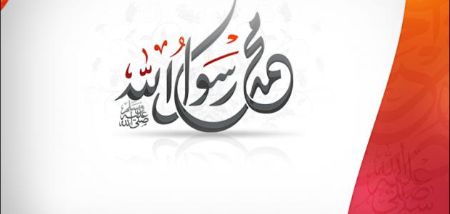 سيرة الرسول بالانجليزي PDF
