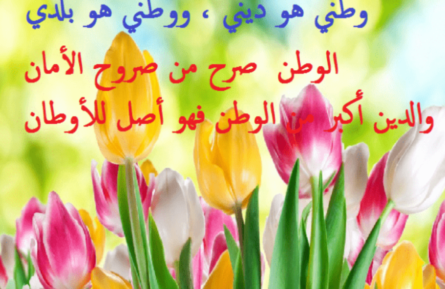 عبارات عن الحب للوطن