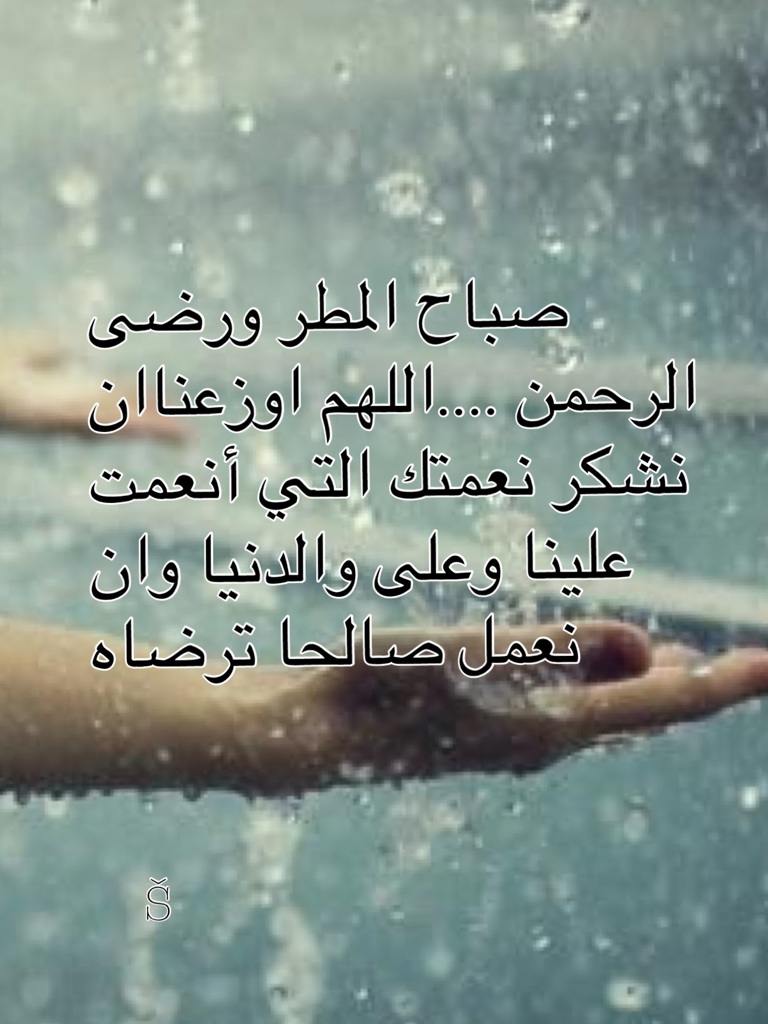 صباح المطر والحب