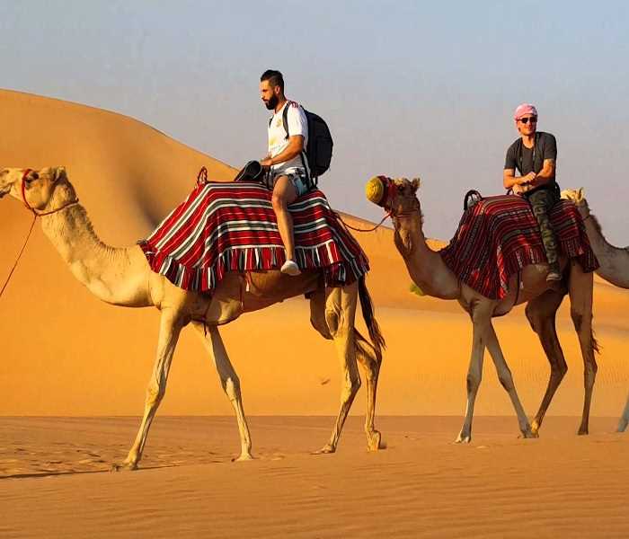 موضوع عن الجمل بالانجليزي قصير