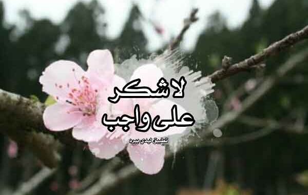 رد على شكر لكم