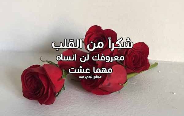 رسائل شكرا للحبيب