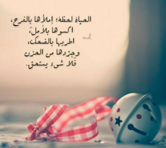 عبارات واتس اب حلوه
