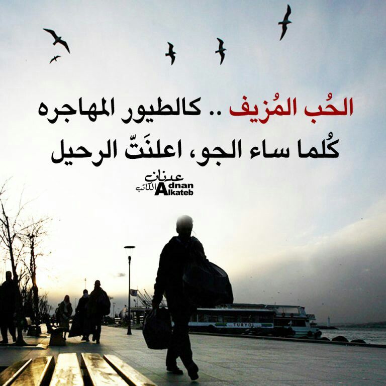 عبارات عن حرب الحب