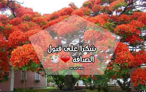 بوستات قبول طلب الصداقة فيس بوك 3