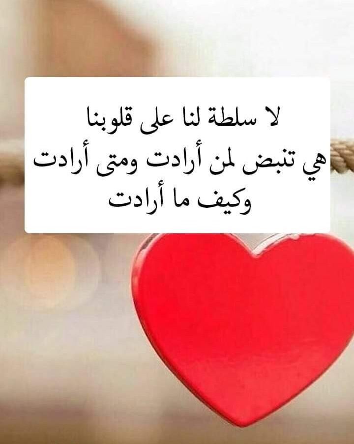 عبارات جميلة عن الحب