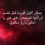 عبارات عن الحب قبل النوم