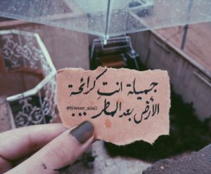عبارات عن الحب
