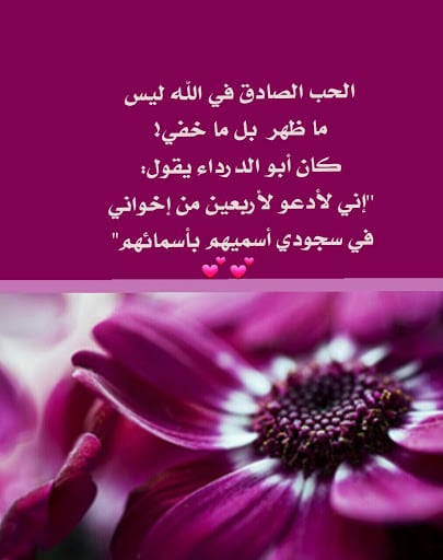 مسجات عن الحب في الله