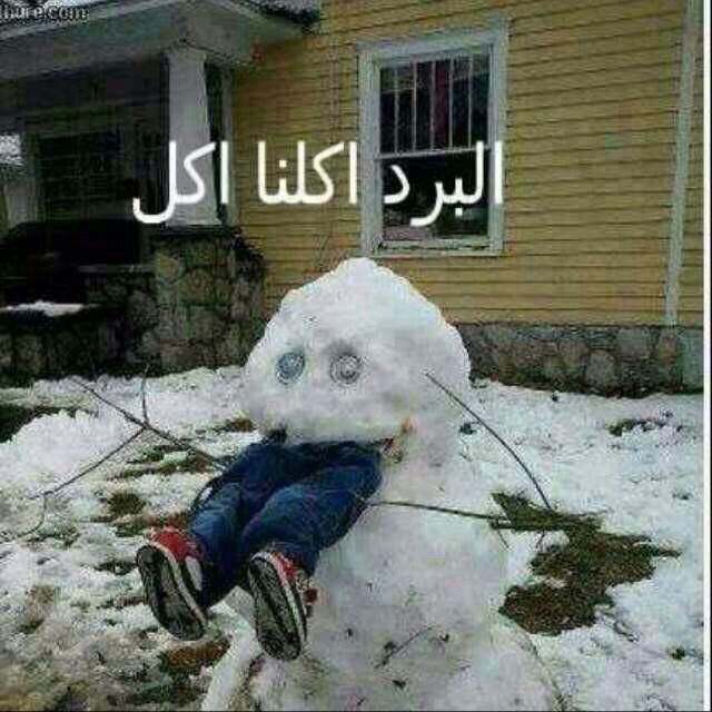 عبارات عن البرد مضحكة