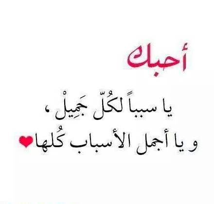 عبارات جميلة عن الحب