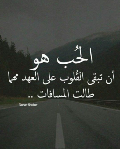 كلام جميل عن الحب