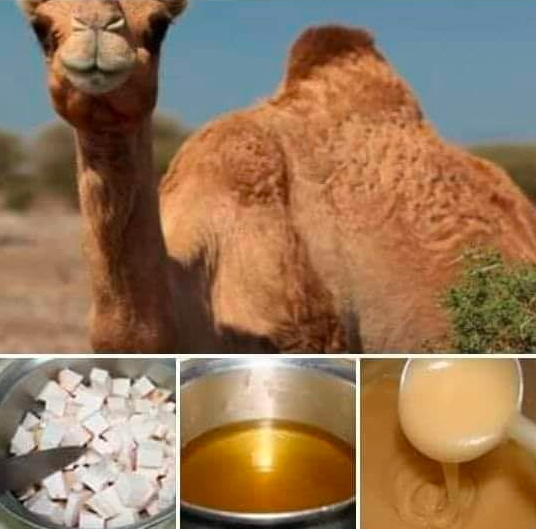 مين جربت سنام الجمل للشعر