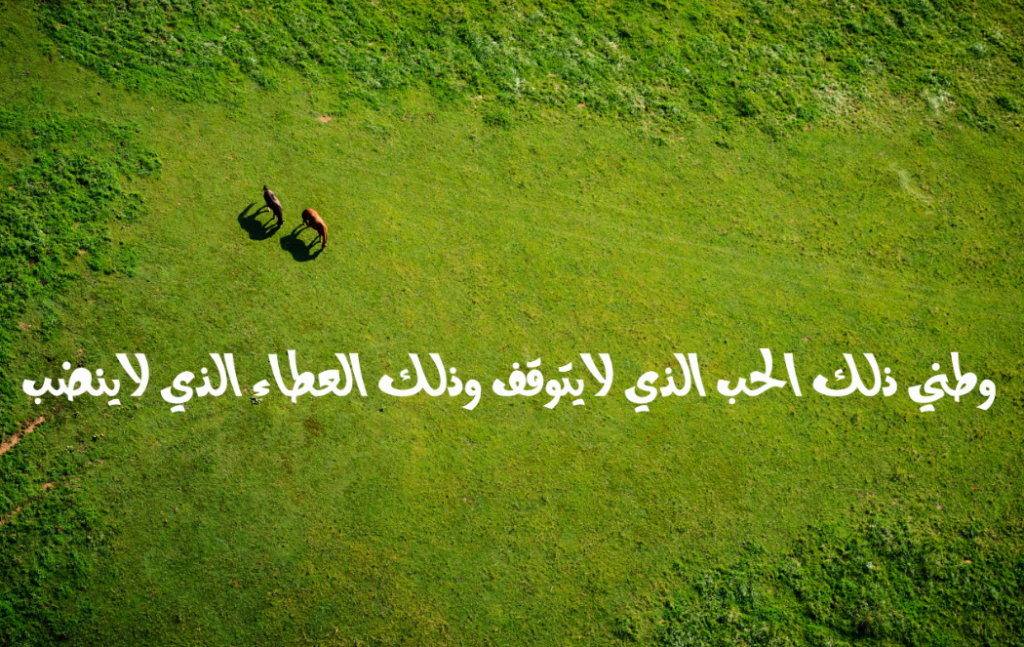 رسالة عن حب الوطن قصيرة