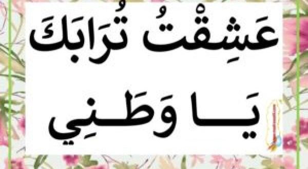 عبارات عن الوطن الغالي