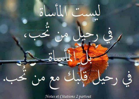 حكم عن الحب والفراق 