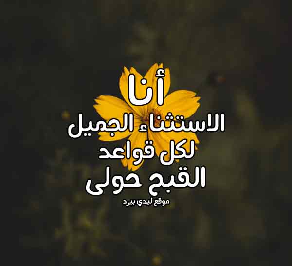 عبارات عن النفس الجميلة