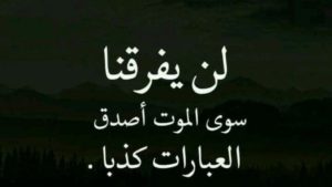 خواطر عن الفراق الحبيب