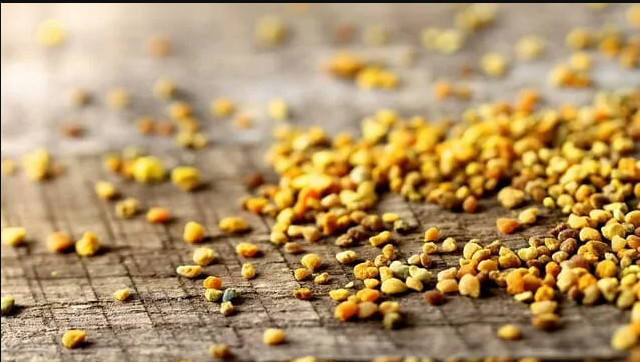 مين جربت حبوب اللقاح وحملت