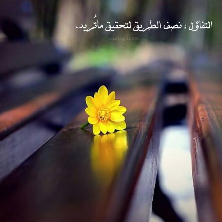 اجمل خلفيات واتس اب 1